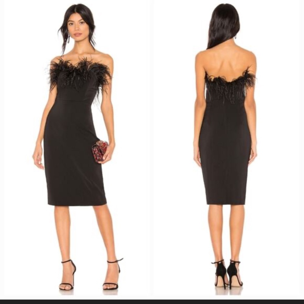 Nwt Lpa
Aurora Dress Black ostrich feather revolve L formal party evening $240